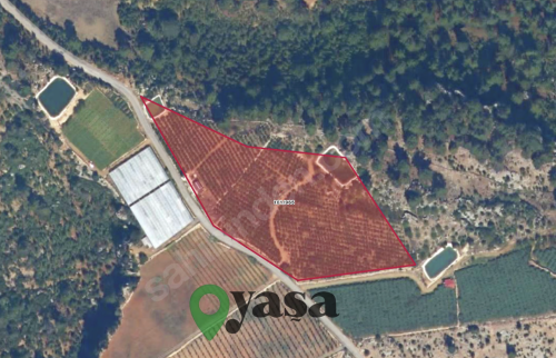 ERDEMLİ SIRAÇ'DA YOLA SIFIR, YAPILI VE VERİMLİ TARLA