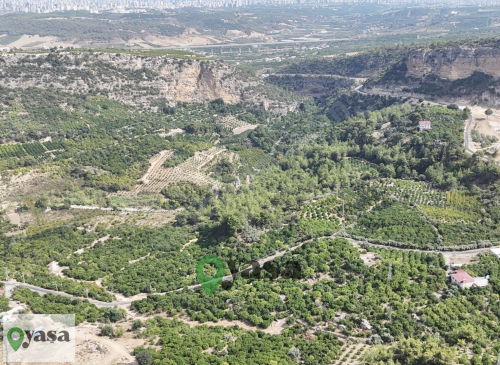 YENİŞEHİR KARAHACILI 2419M2 DÖNÜM SATILIK LİMON BAHÇESİ